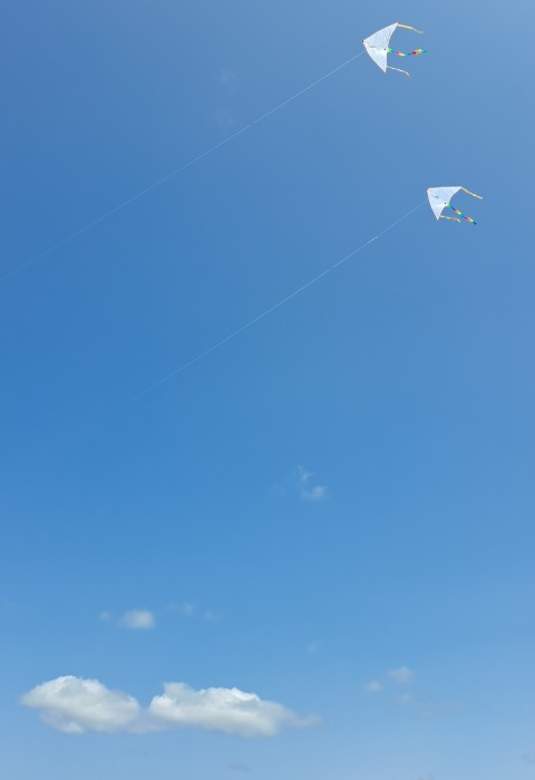 Pentecost at Combe Gibbet (4)