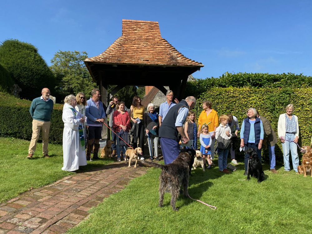 Outdoor Animal Service in Inkpen (1)