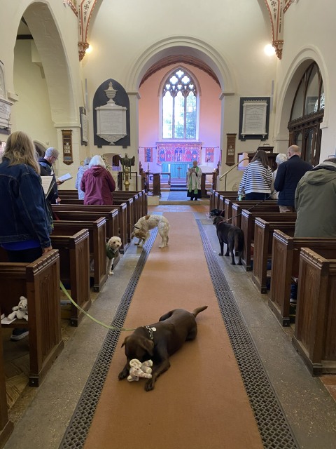 Kintbury Pet Service