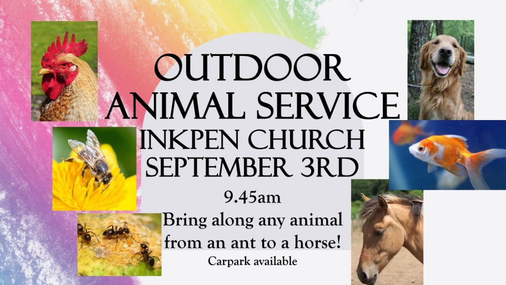 Animal Service
